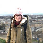 Doy clases de Historia económicas, divertidas y efectivas